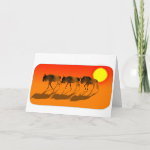 Wildebeesten bij zonsondergang Verjaardag Kaart