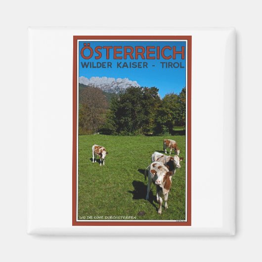 Wilder Kaiser - Koeien Magneet (Voorkant)