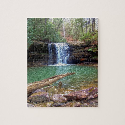 Wilderness Appalachian Waterfall Legpuzzel (Verticaal)