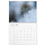 Wilderness Calendar Kalender (Jan 2027)