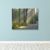 Wilderness Drive, Itasca State Park, Canvas Afdruk (Insitu (Houten vloer))