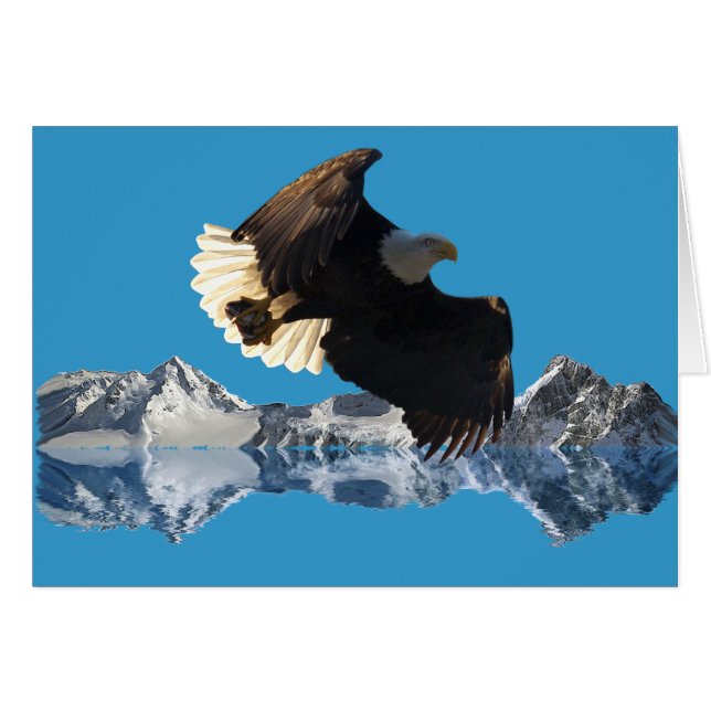 WILDERNESS EAGLE COLLECTIE (Voorkant Horizontaal)