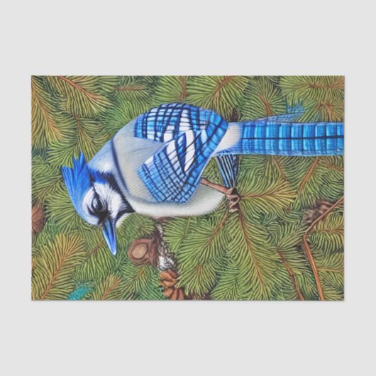 Wilderness Evergreen Blue Jay Tissuepapier (Voorkant)