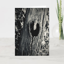 Wilderness Hearts Kaart