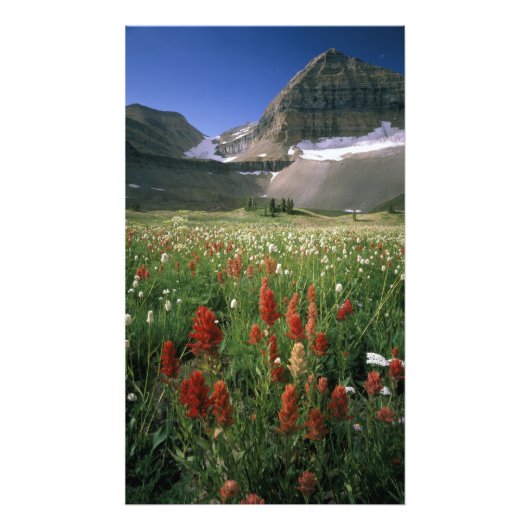 WILDERNESS MOUNT TIMPANOGOS, UT, VS, FOTO AFDRUK (Voorkant)