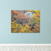 Wilderness Palet, Tierra del Fuego Bos Canvas Afdruk (Insitu (Houten vloer))