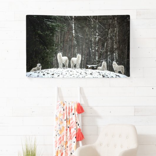 Wilderness Polar Wolf Spandoek (Insitu)