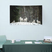 Wilderness Polar Wolf Spandoek (Beurs)
