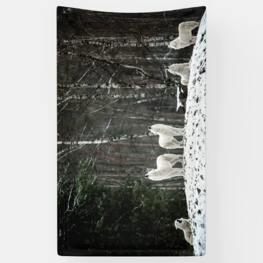 Wilderness Polar Wolf Spandoek (Verticaal)