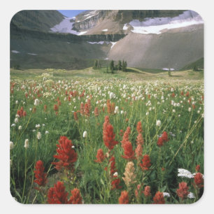 WILDERNESS TIMPANOGOSBERG, UT, VS, VIERKANTE STICKER