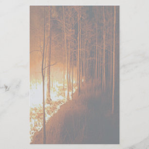Wildfire Blaze Briefpapier