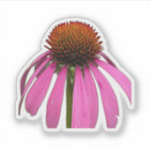 Wildflower Beauty – Nature Photo Sticker (Voorkant)