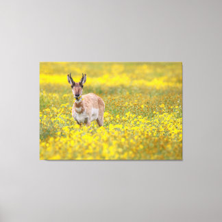 Wildflower diner canvas afdruk
