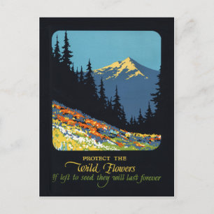 Wildflower earth day environmental deco postcard briefkaart
