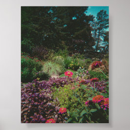 Wildflower Garden Poster