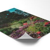 Wildflower Garden Poster (Hoek)