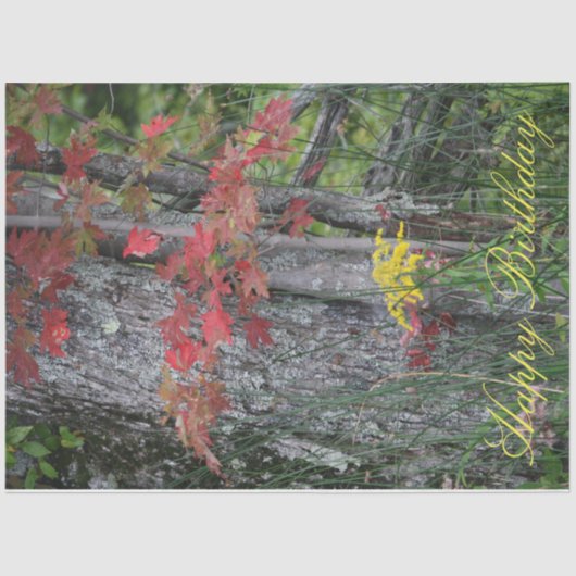 Wildflower Happy Birthday Tissuepapier (Voorkant)