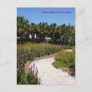 Wildflower Meadow Napels Botanical Garden Florida Briefkaart