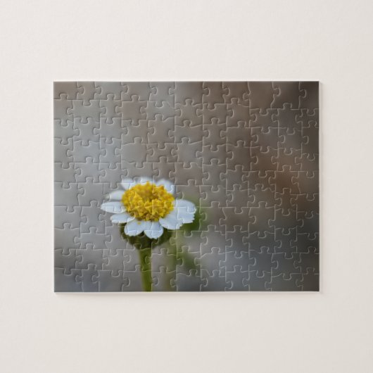 Wildflower puzzel 5 (Horizontaal)