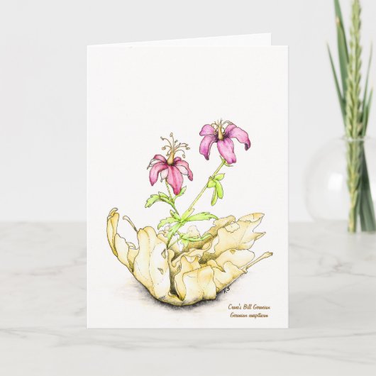 Wildflower watercolor geranium greeting card kaart (Voorkant)
