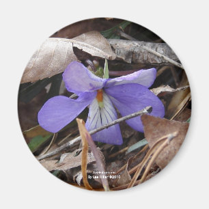 WildFlowers Birds-Foot Violet Hot Springs AR Gifts Magneet