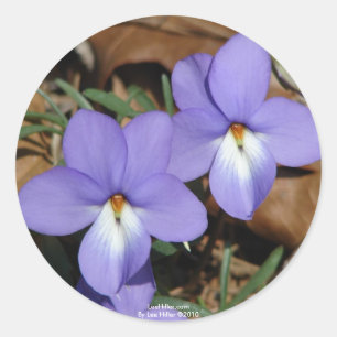 WildFlowers Birds-Foot Violet III Gifts & Apparel Ronde Sticker