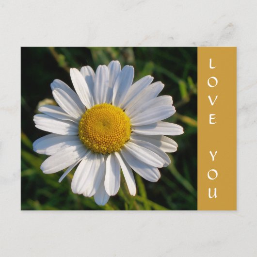 WILDFLOWERS BRIEFKAART (Voorkant)