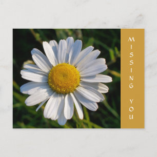 WILDFLOWERS BRIEFKAART