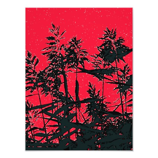 WILDFLOWERS FOTO AFDRUK (Voorkant)