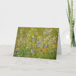 Wildflowers Foto - Blank Kaart