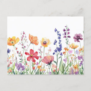 Wildflowers Kleurrijke Bloemen Mooi Briefkaart