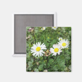 WILDFLOWERS MAGNEET (Voorkant / Achterkant)