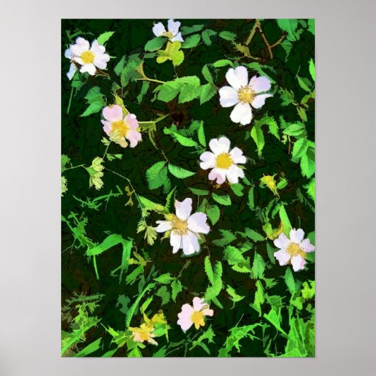 WILDFLOWERS POSTER (Voorkant)