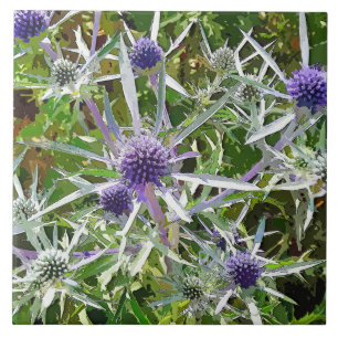 WILDFLOWERS TEGELTJE