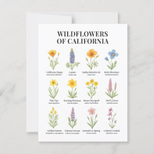 Wildflowers van Californië - Botanische Waterverf Briefkaart