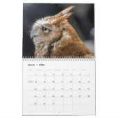 Wildfotografie-agenda Kalender (Mar 2026)