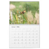 Wildfotografie Collectie agenda Kalender (Jan 2026)