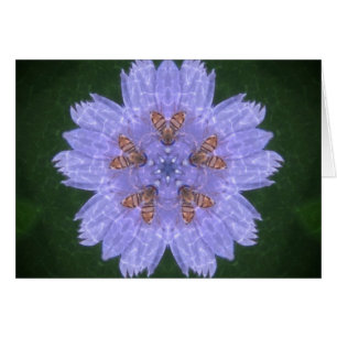 Wildfowers met bijen