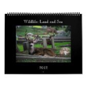 wildkalender - 2012 kalender (Hoes)