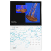 wildkalender - 2012 kalender (Feb 2026)