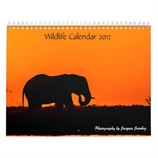 Wildkalender 2017 kalender (Hoes)