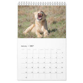 Wildkalender 2021 kalender (Jan 2027)
