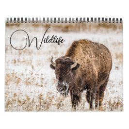 Wildkalender met onderschriften kalender