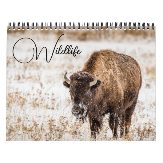 Wildkalender met onderschriften kalender (Hoes)