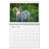 Wildkalender met onderschriften kalender (Feb 2026)