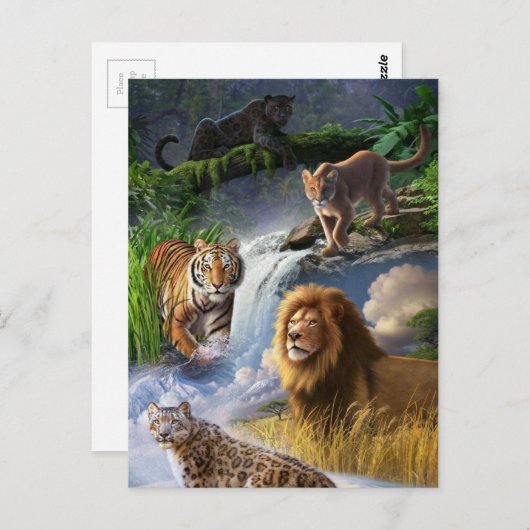 Wildkatten Briefkaart (Voorkant / Achterkant)