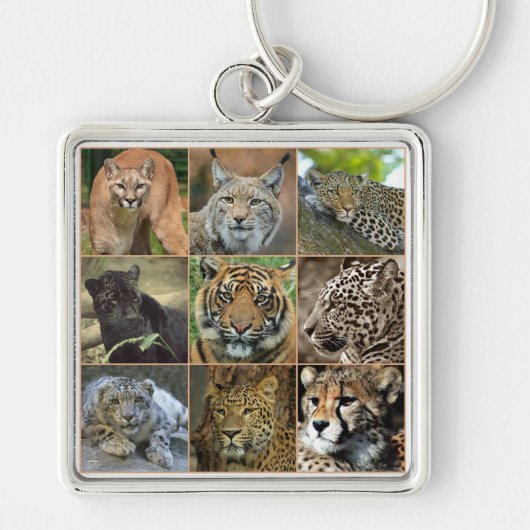Wildkatten Sleutelhanger (Voorkant)