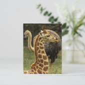 Wildleven Foto van Giraffe en struisvogel Briefkaart (Staand voorkant)