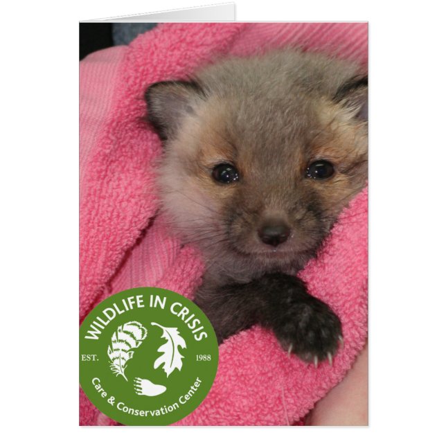 Wildleven in crisis (Voorkant)