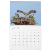 Wildlife 2026 kalender (Mar 2027)